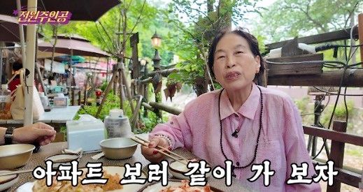 전원주 유튜브