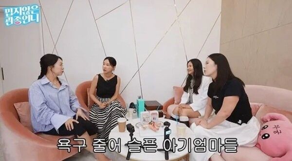 나비는 유튜브 채널 '밉지않은 관종언니'