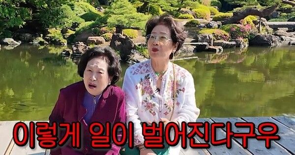 전원주 선우용여 전원주인공 온라인커뮤니티