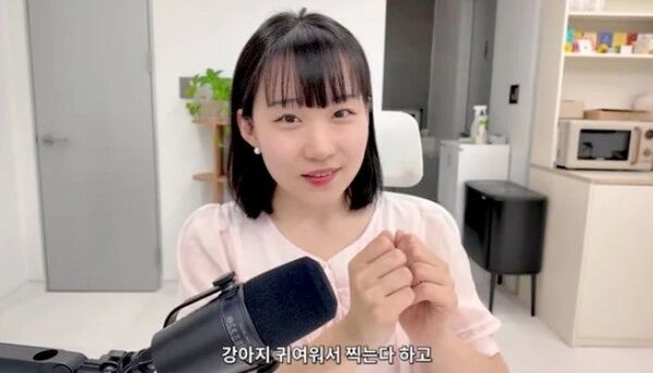 유튜브 채널 '정 미니미'