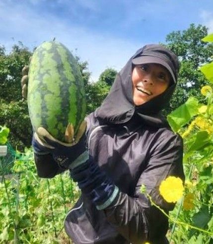 마야 온라인커뮤니티