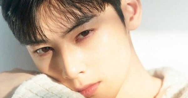 차은우 온라인커뮤니티
