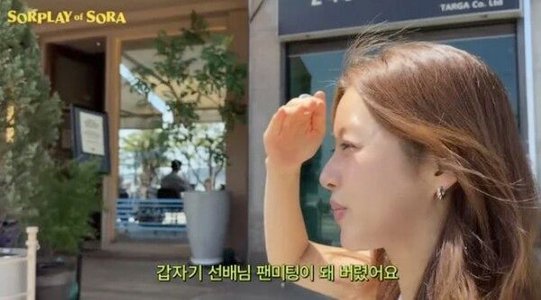 강소라 유튜브