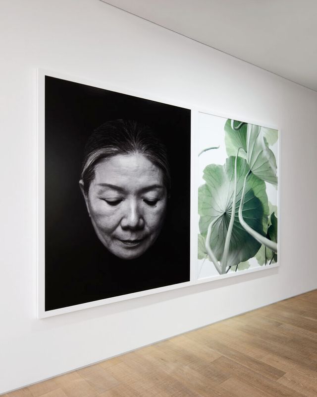 구찌 사진전 '두 개의 이야기'의 개념 미술가 김수자 스팟