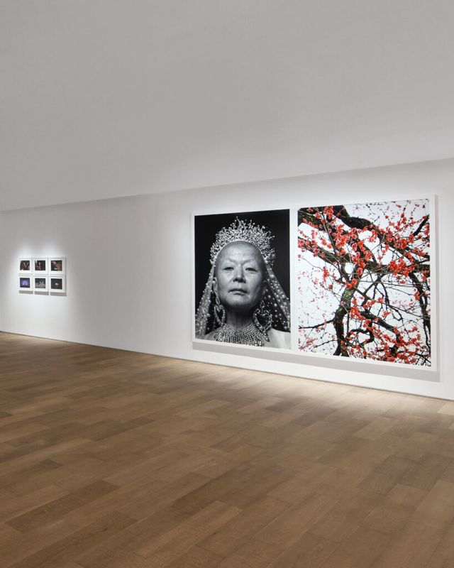 구찌 사진전 '두 개의 이야기'의 안무가 안은미 스팟