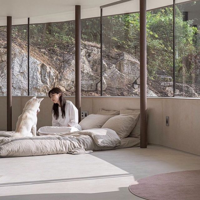 반려동물, 스테이, 독채펜션, 강아지동반, 강아지동반숙소, 빌라누트