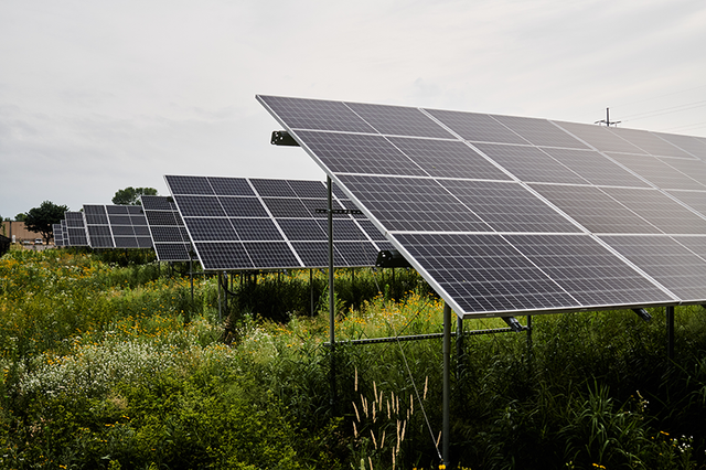 아베다 지속가능성 행보