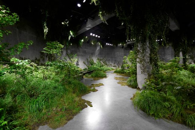 구찌 2025 크루즈 컬렉션 쇼장.