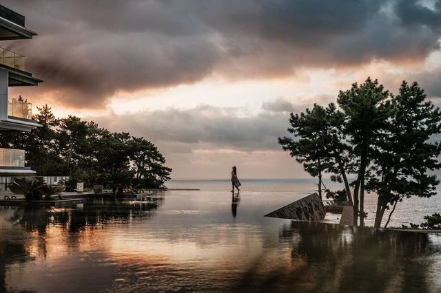 여행, 국내여행, 호캉스, 호텔, 리조트, JW메리어트제주, 카시아속초, 파라스파라, 포레스트리솜