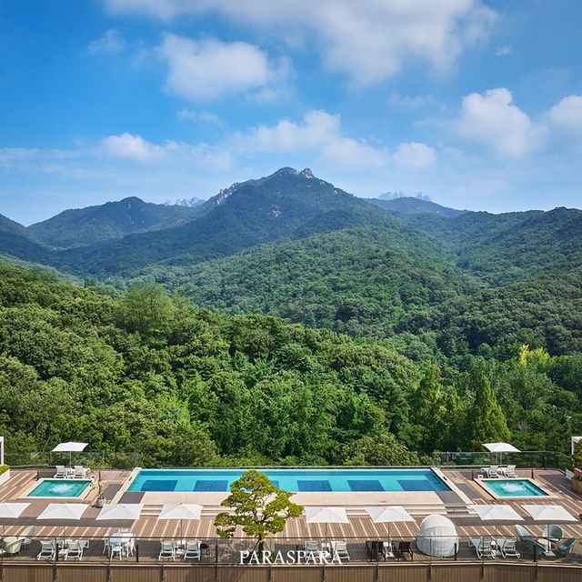 여행, 국내여행, 호캉스, 호텔, 리조트, JW메리어트제주, 카시아속초, 파라스파라, 포레스트리솜