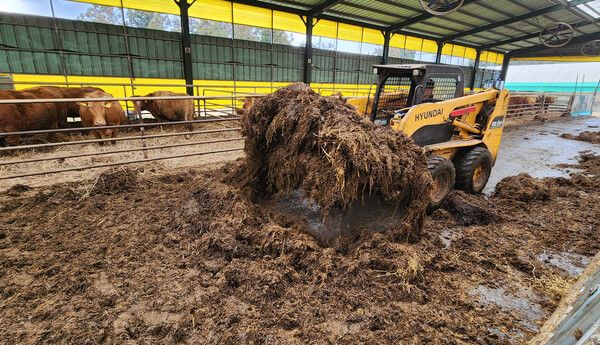 스키드로더. 사진은 기사 내용과 무관함 (사진=연합뉴스)