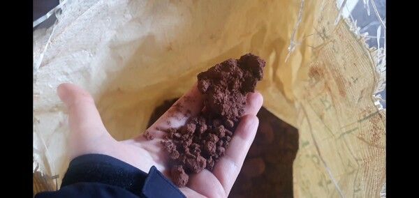 적발된 화산송이 (사진=제주도 자치경찰단)