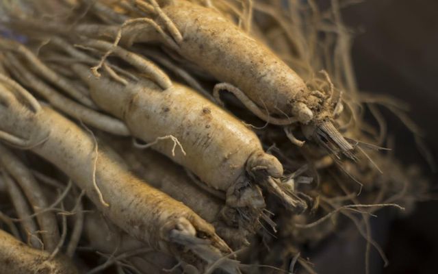 고려인삼 ⓒ연합뉴스