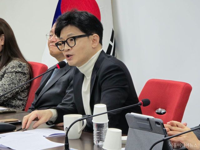 한동훈 비상대위원장