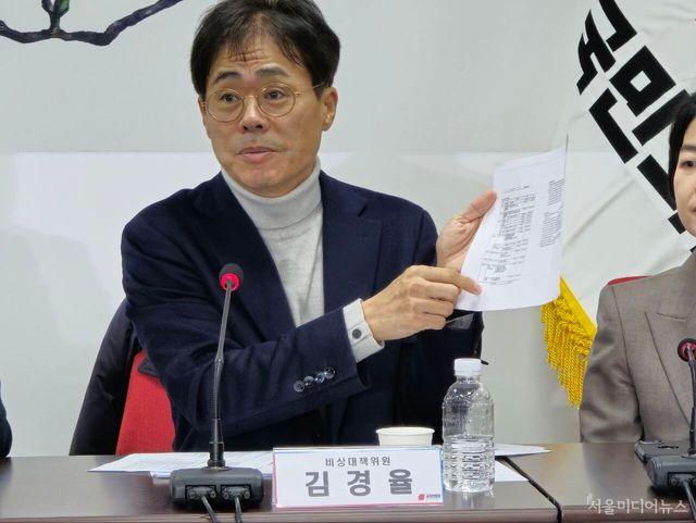 김경율 비상대책위원