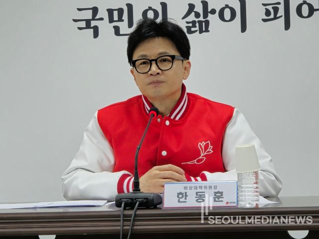 한동훈 비상대책위원장