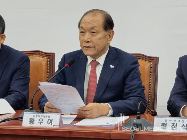 국민의힘 황우여 비상대책위원장