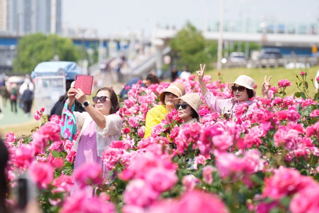 2024 중랑 서울장미축제의 화려한 막이 올랐다. 특히 축제 메인 기간인 그랑로즈페스티벌(18~19일)의 첫째 날은 주민 참여 프로그램으로 구성한 ‘HAPPY　ROSE DAY’가 열렸다