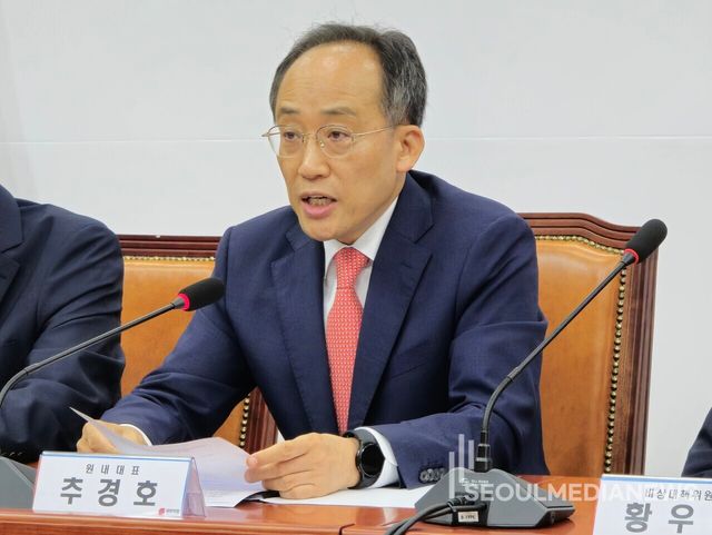 국민의힘 추경호 원내대표