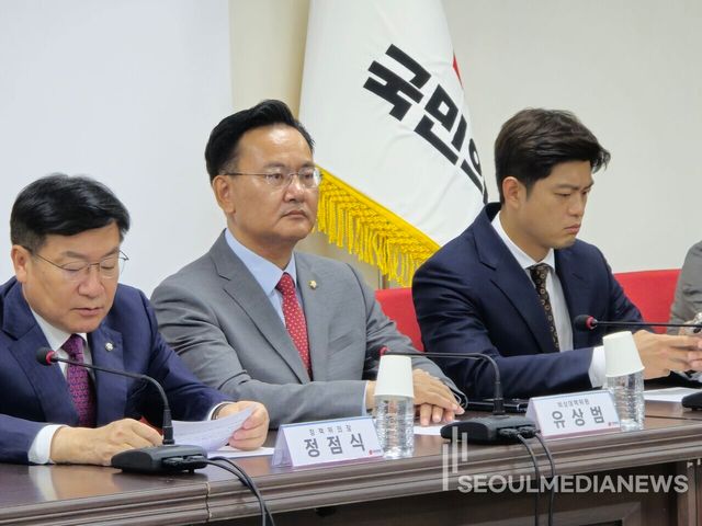 국민의힘 비대위