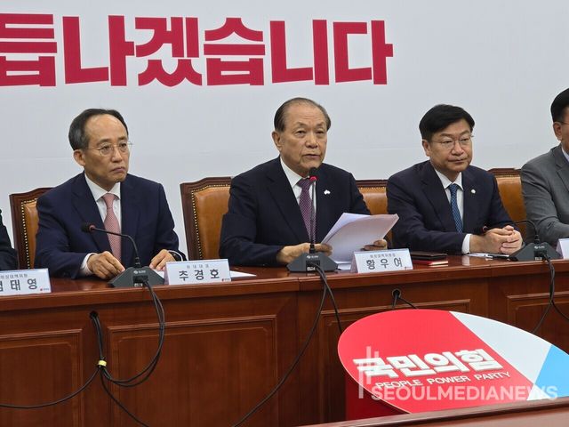 국민의힘 비상대책위원회