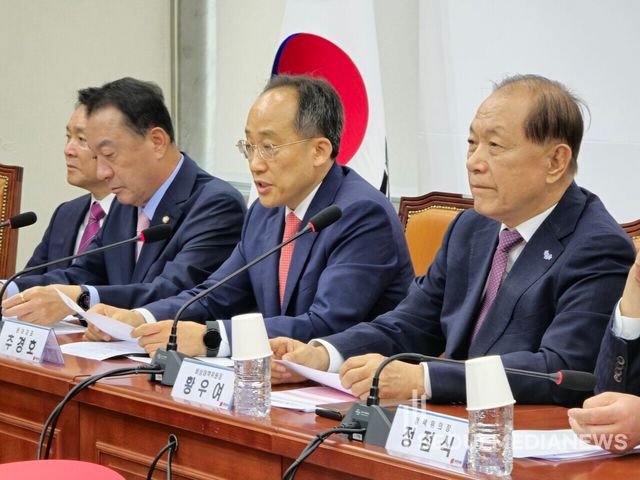 국민의힘 비상대책위원회