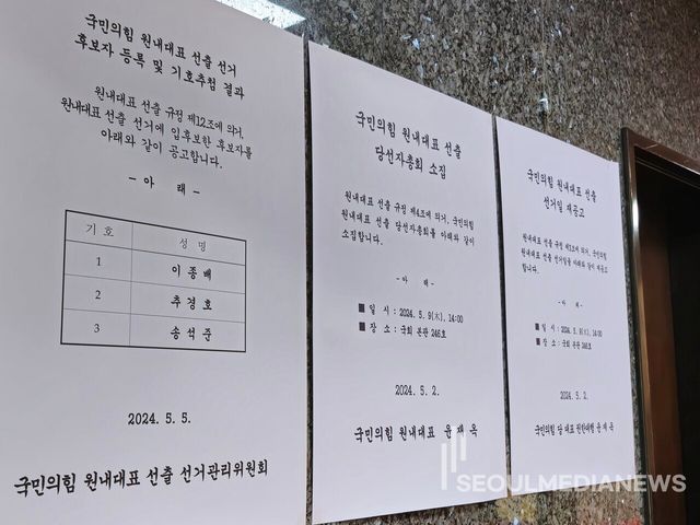 국민의힘&nbsp;원내대표 이종배·추경호·송석준 '3파전'