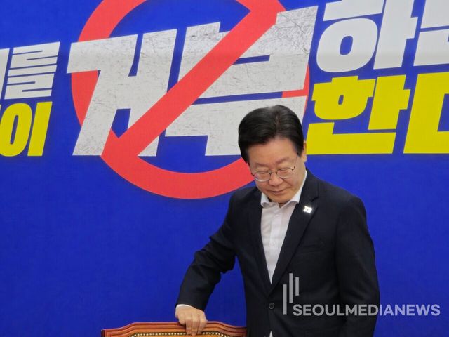 더불어민주당 이재명 대표