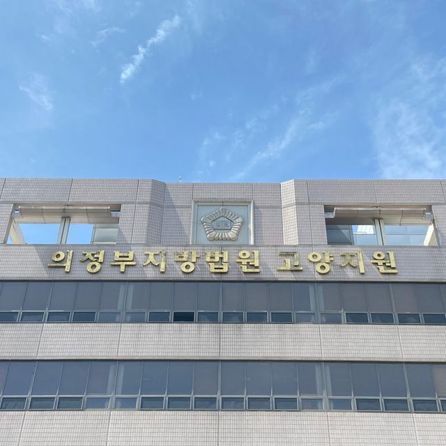 입양, 임시보호 명목으로 데려온 11마리의 강아지와 고양이를 살해한 혐의로 구속되어 법정에 선 남성이 집행유예로 풀려났다 ⓒ동물권행동 카라