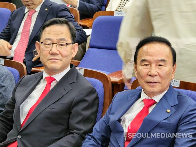국민의힘 국회부의장 후보