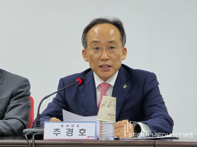 국민의힘 추경호 원내대표