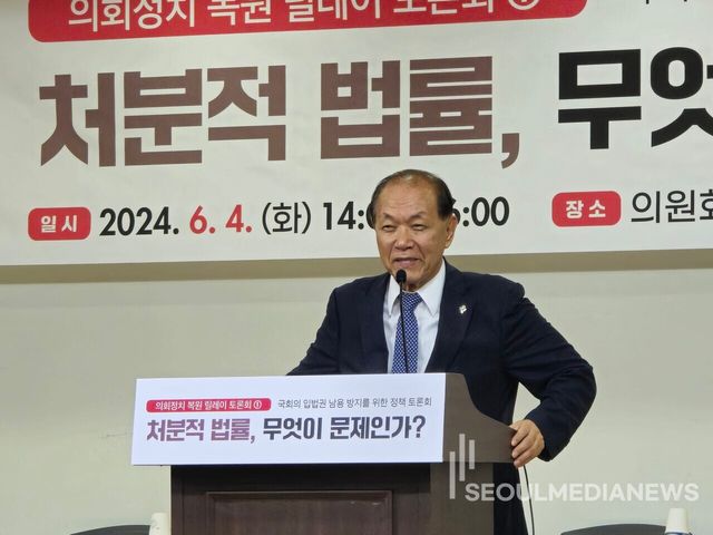 국민의힘 황우여 비상대책위원장