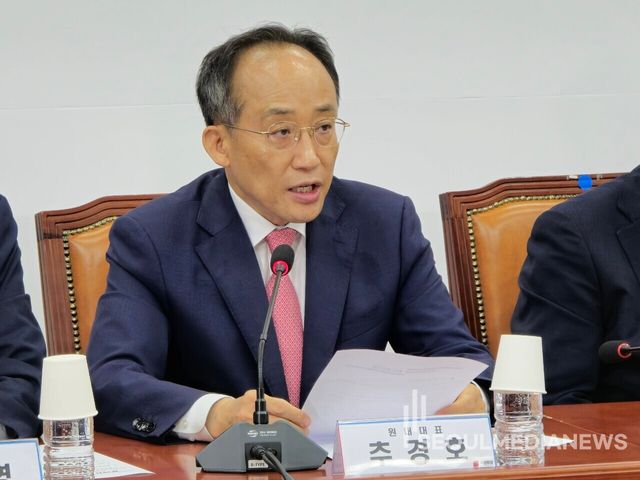 국민의힘 추경호 원내대표