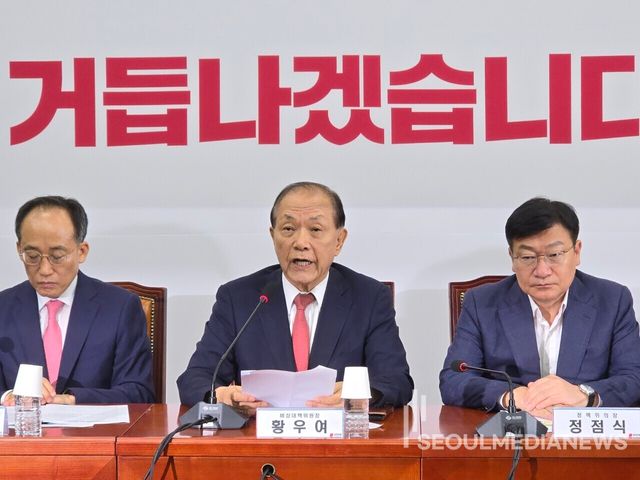 국민의힘 황우여 비상대책위원장