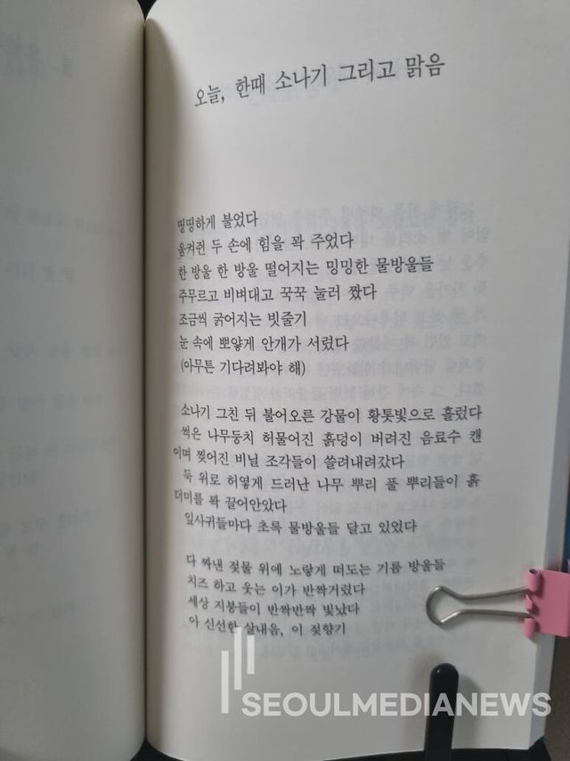 사진=서울미디어뉴스 DB