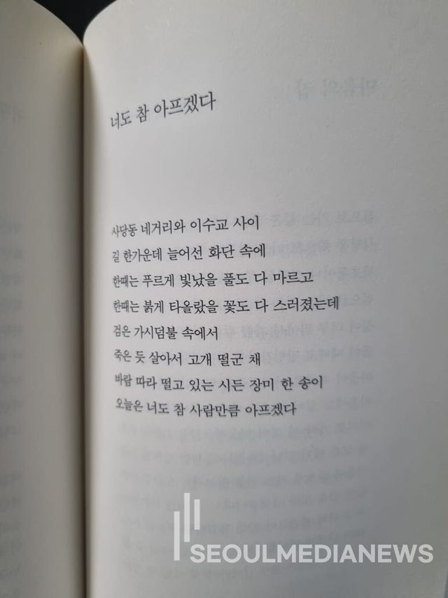 사진=서울미디어뉴스