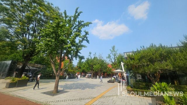 대학로 마로니에 공원 일각(사진=전서현 기자)