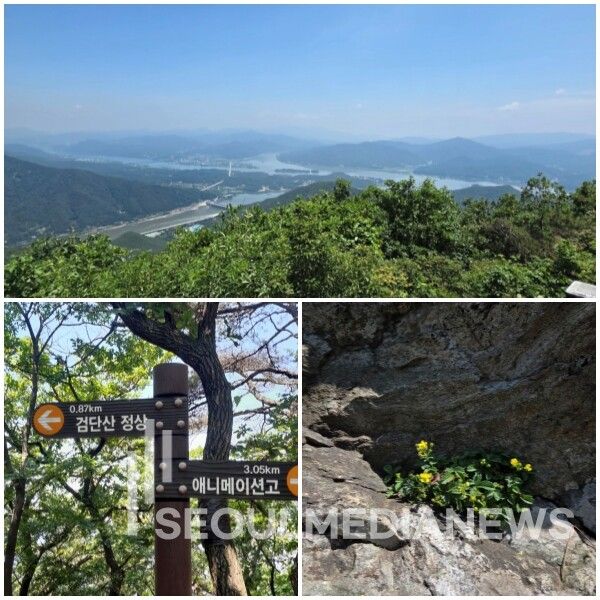 사진=서울미디어뉴스 전서현 기자