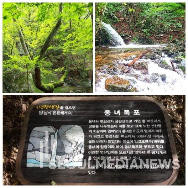 강원도 양구 광치계곡 일각(사진=전서현 기자)