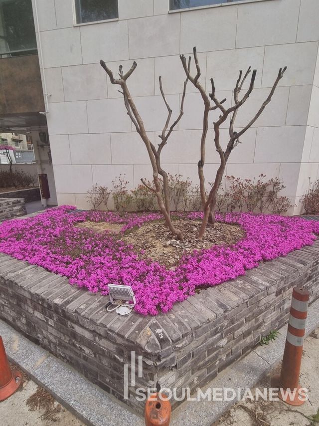 사진=김상진 기자