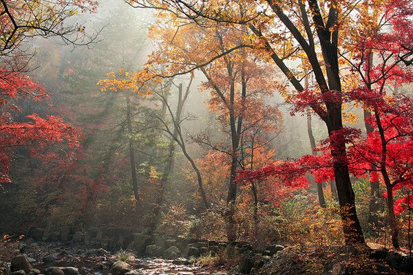포천 국립수목원. 사진= 한국관광공사