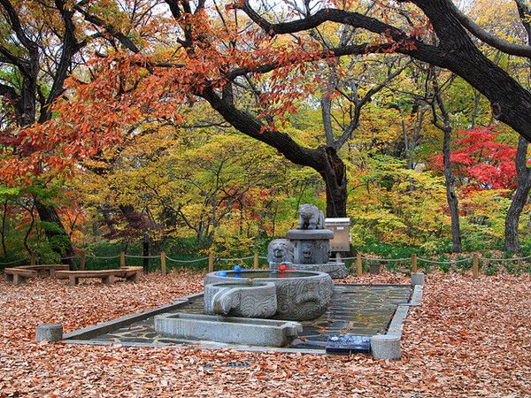 함양 상림. 사진=한국관광공사
