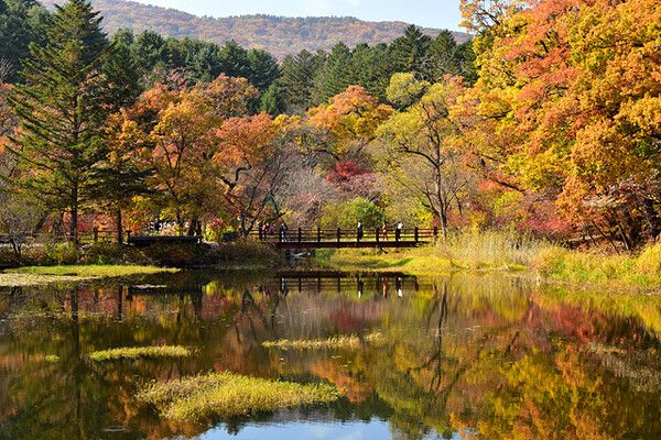 포천 국립수목원. 사진=한국관광공사