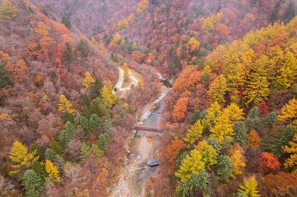 가을에 걷기 좋은 오대산 선재길. 사진=한국관광공사