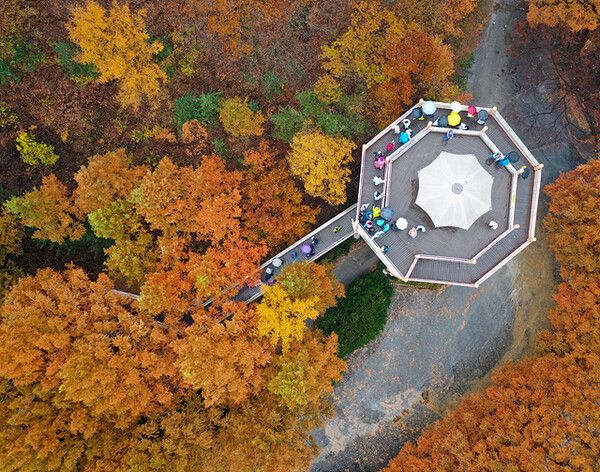 장태산 자연휴양림. 사진=한국관광공사