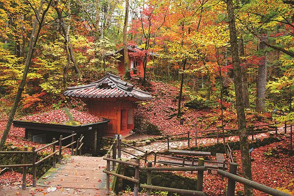 밀브릿지 가을 풍경. 사진=한국관광공사