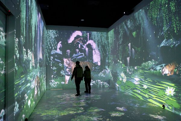 하늘전망대 및 탐방로. 사진=한국관광공사