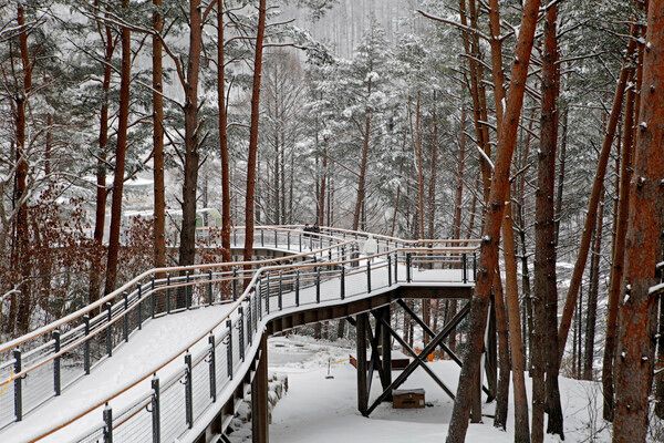하늘전망대 및 탐방로. 사진=한국관광공사