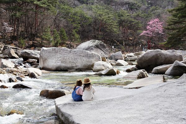 단양 선암골 생태유람길의 계곡. 사진=한국관광공사