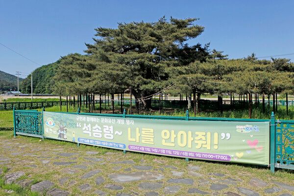 찾는 이들을 품어주는 석송령 푸른 그늘. 사진=한국관광공사